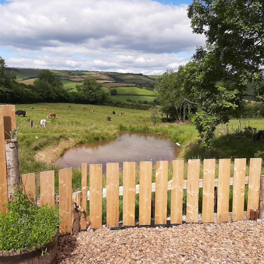 Foxglove Accommodation Craven Arms Eksteriør billede